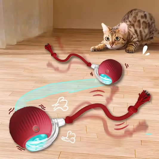 🎾 Balle Magique Roulante Rechargeable 🐾 Pour Chats Curieux & Joueurs 🐱